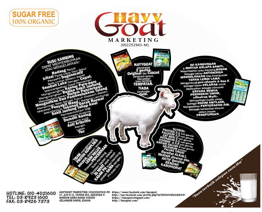 hayygoat-7