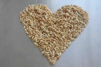 Brown Bubble Rice