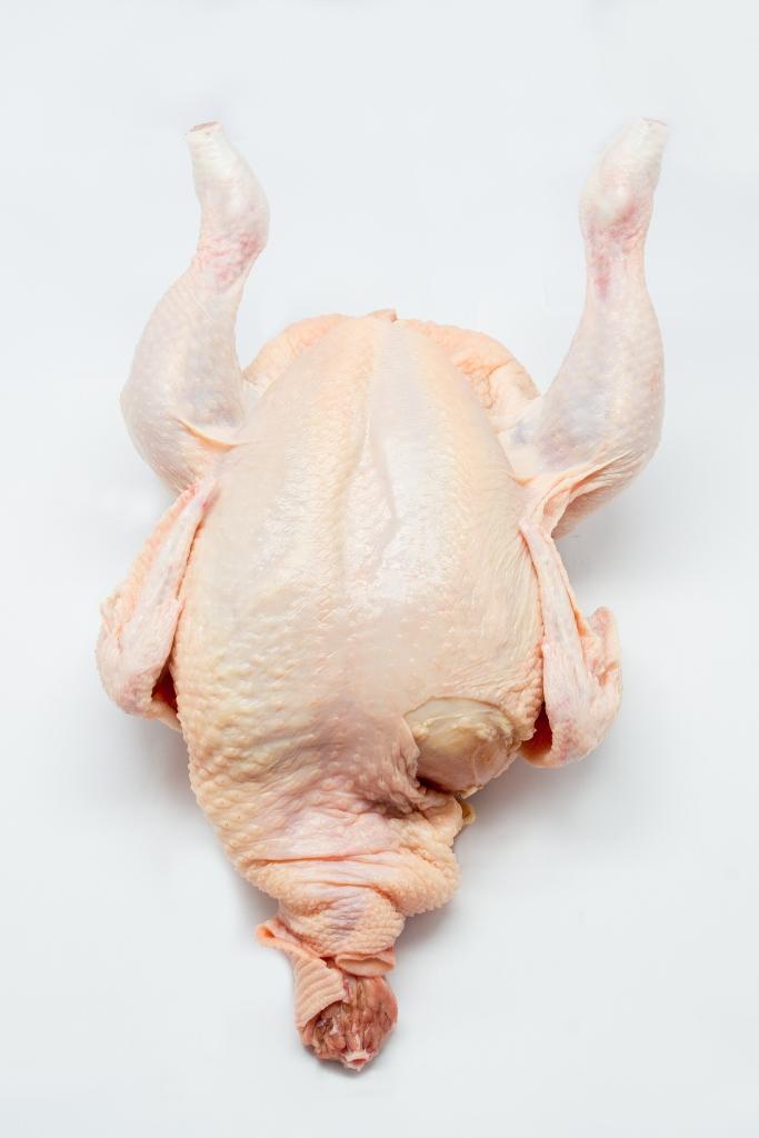 Fresh Chicken Supply Kuantan