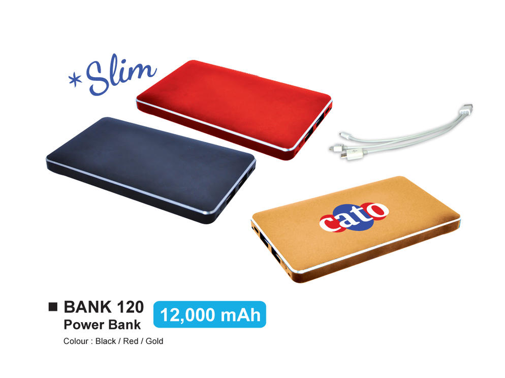 Power Bank 120