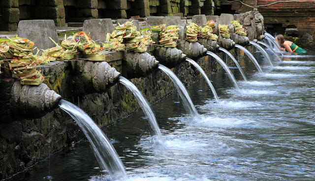 TAMPAK SIRING