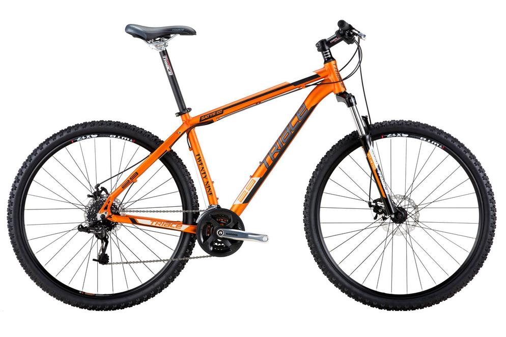 SATYRL 100 29ER