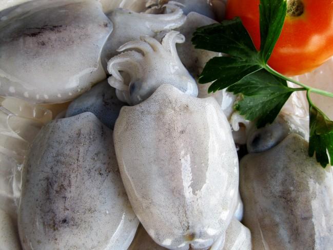 Whole Round Cuttlefish