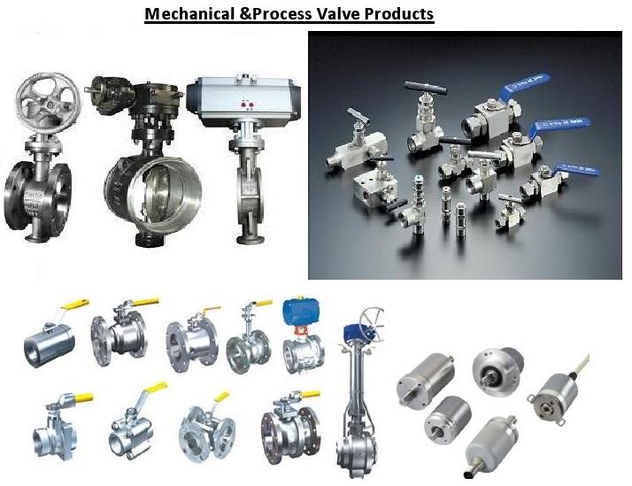 Mechanical & Process Valve Products