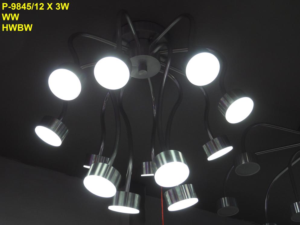 P 9845 12 3W WW