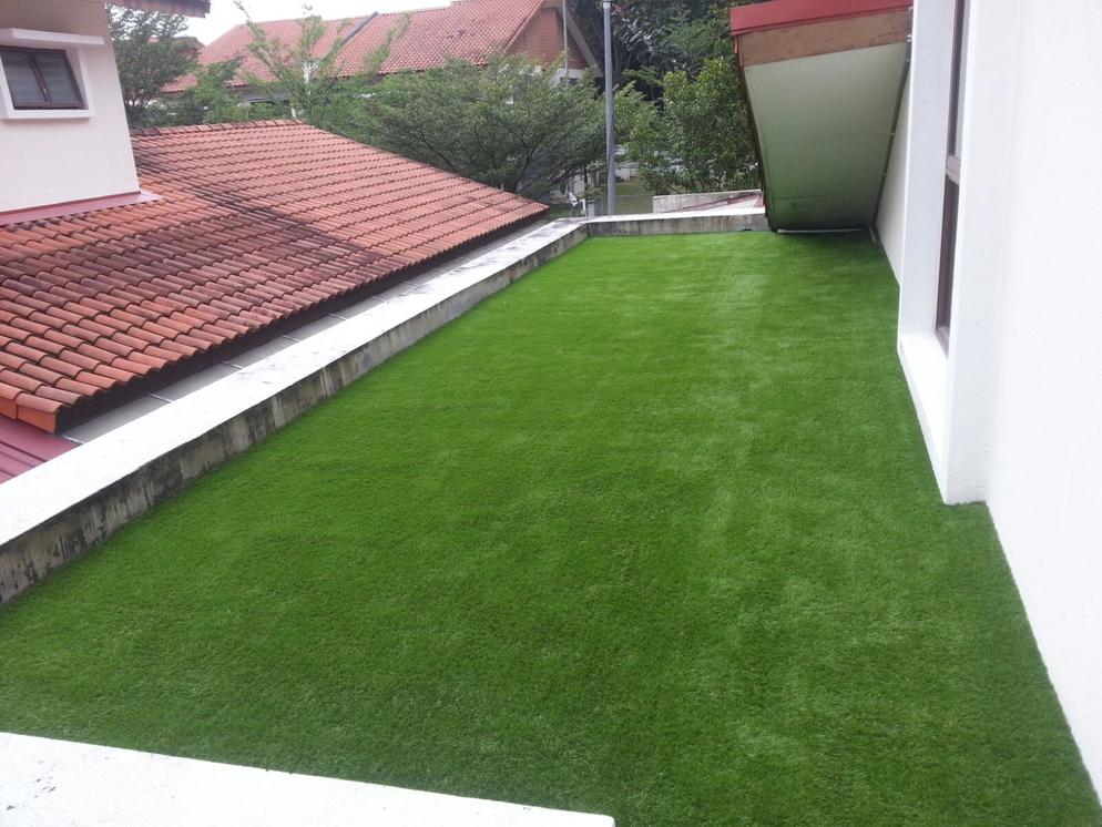 Rooftop