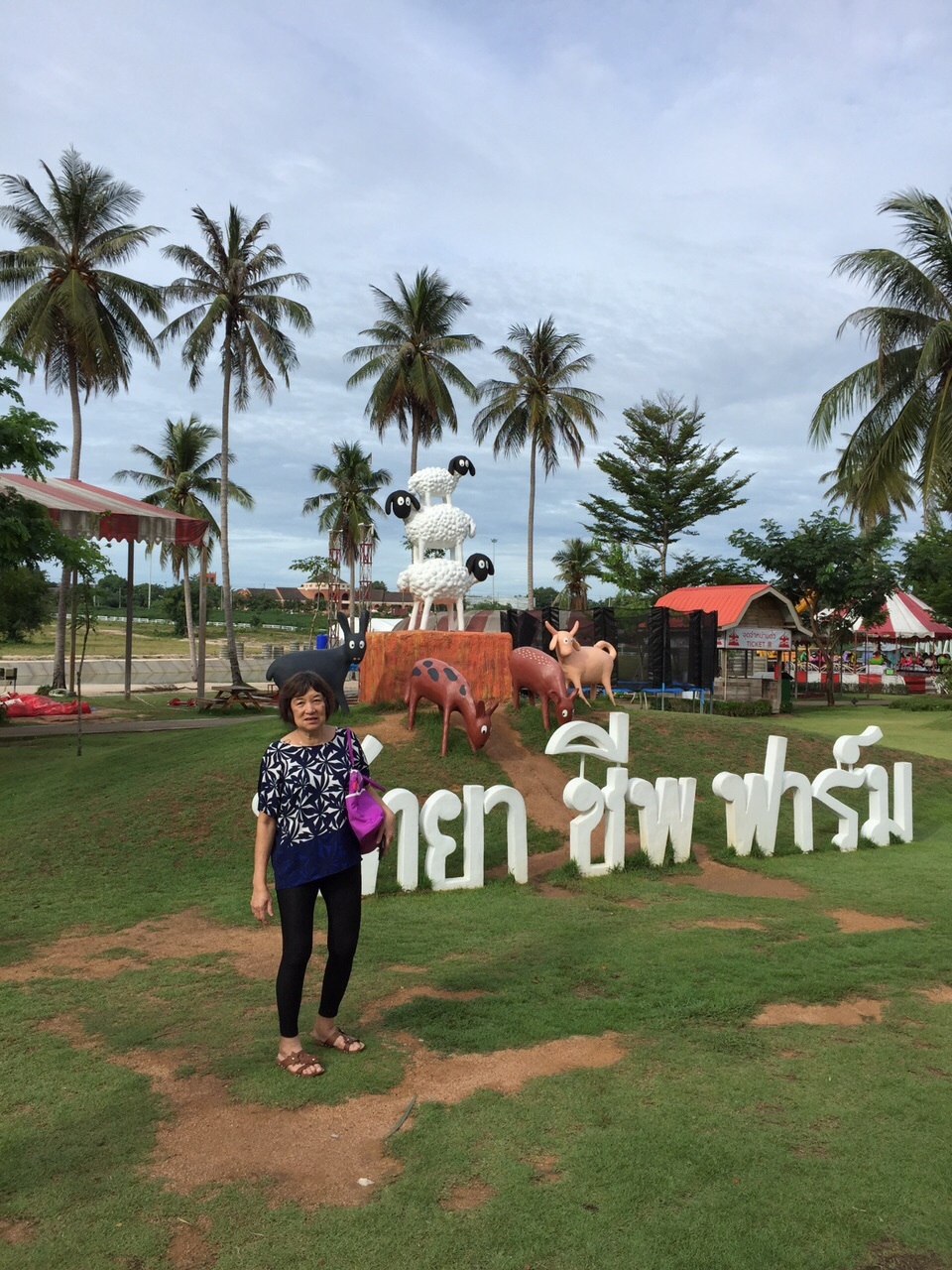 Pattaya Sheep Farm