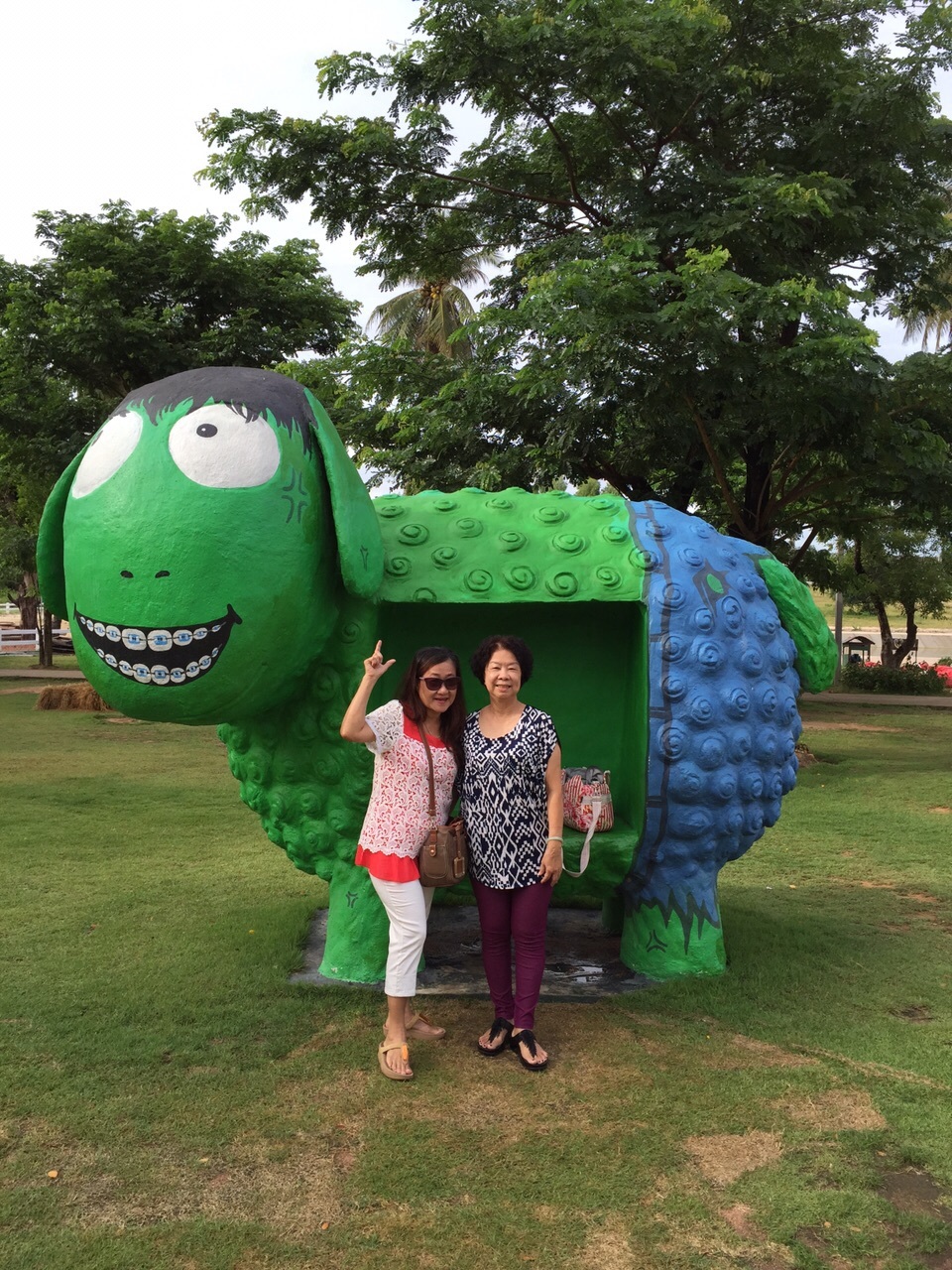 Pattaya Sheep Farm