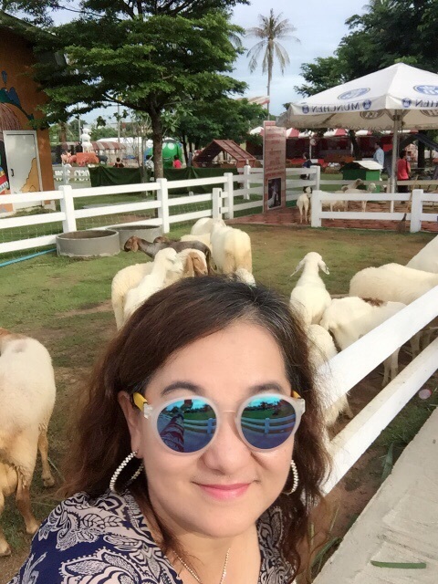 Pattaya Sheep Farm