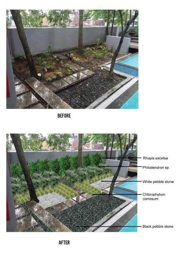 garden 5 2 min