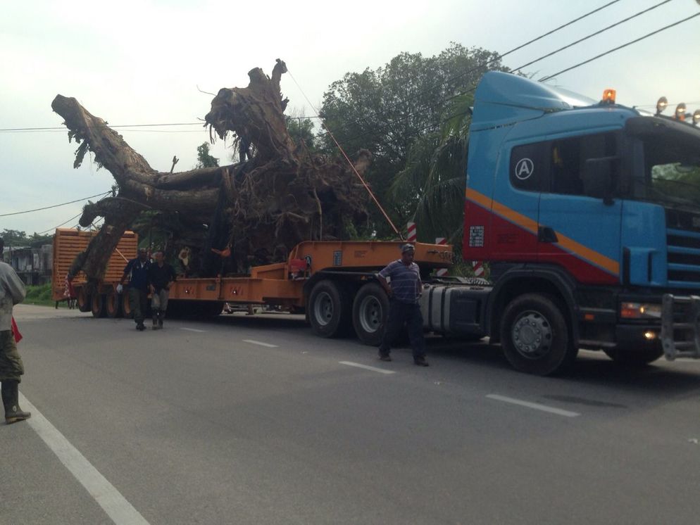 SCANIA Low Roader