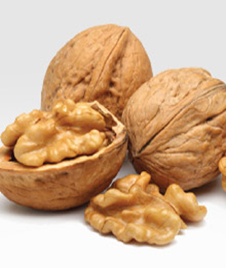 nut walnut