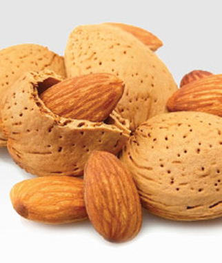 nut almond