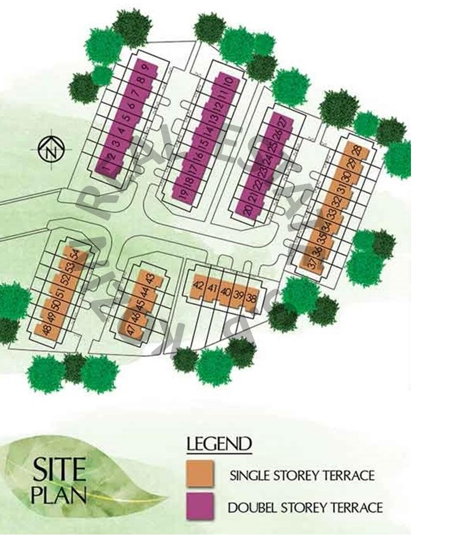 Site Plan 