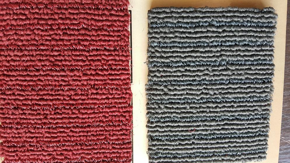 2 in 1 Carpet Matting