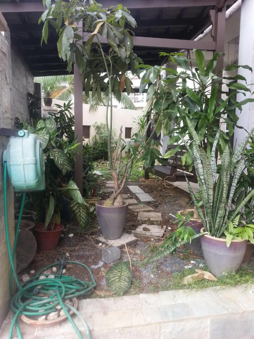 IMG 20170615 WA0043
