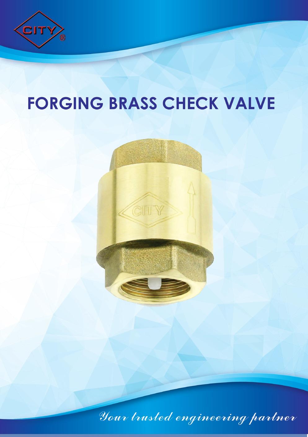 CITY FORGING BRASS CHECK VALVE & FOOT VALVE CATALOG
