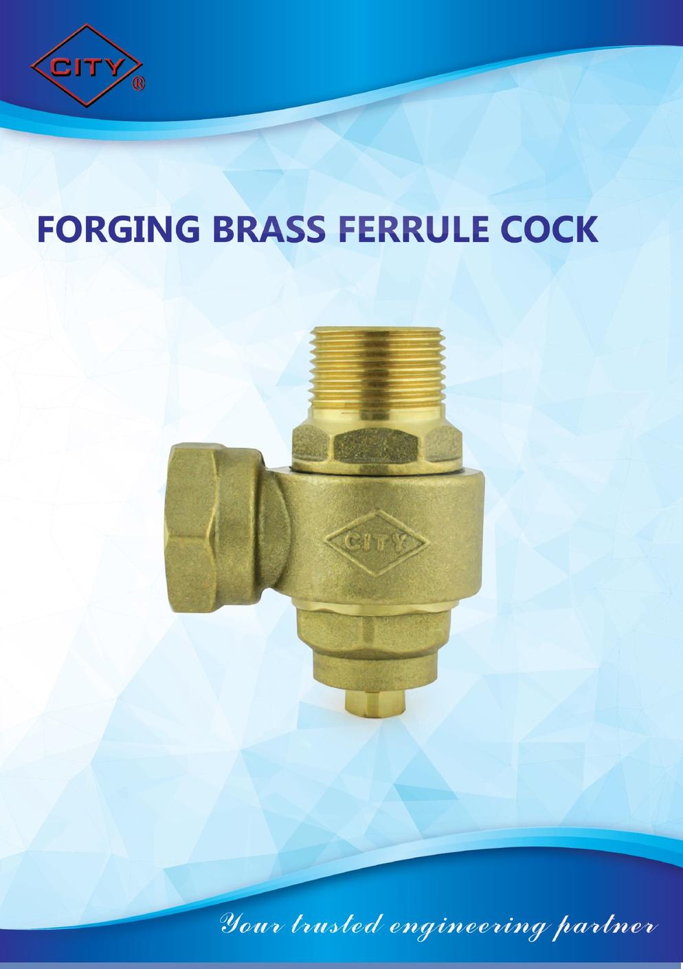 CITY FORGING BRASS FERRULE COCK