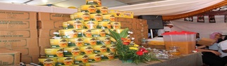 sunfiesta mango pulp