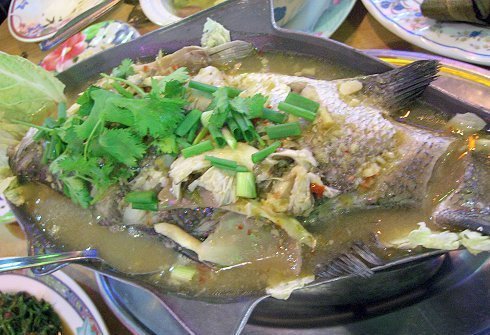 Steamed fish