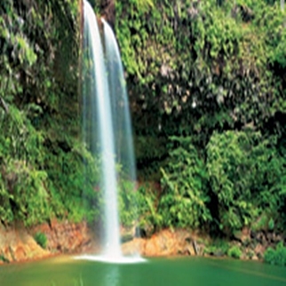 Lambir National Park2