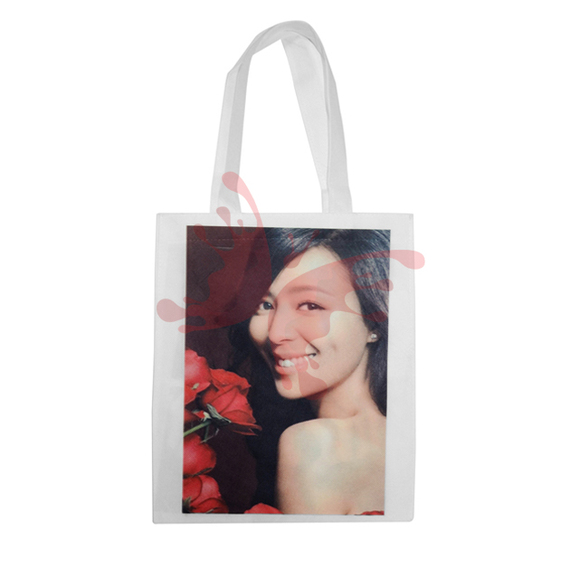 Non Woven Bag (Small)