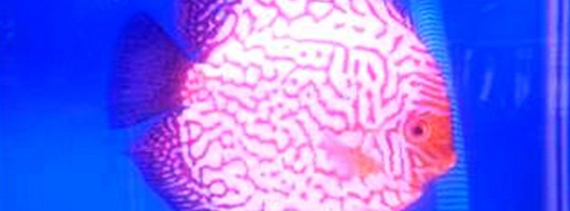 Cover Photo1