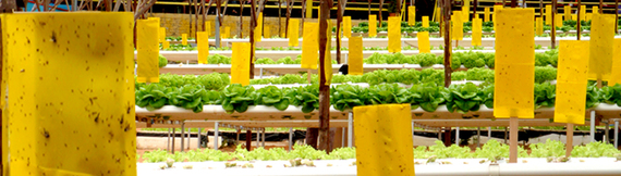 Agriculture & Pest Control