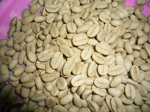 ARABICA GRADE A