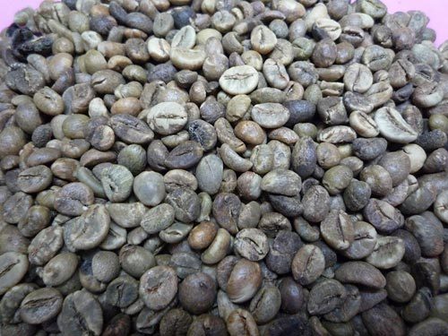 ROBUSTA GRADE 2