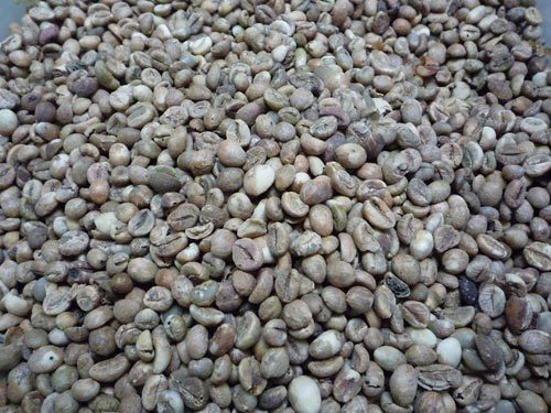 ROBUSTA MIX