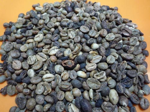 ROBUSTA GRADE4