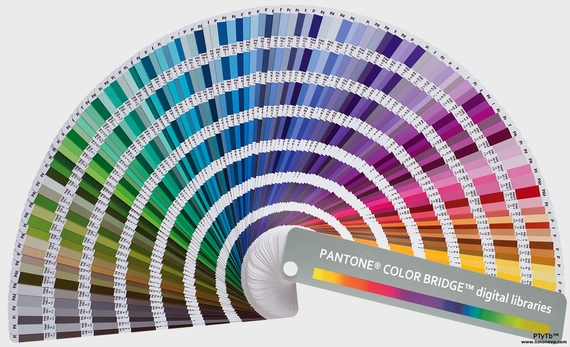 pantone4