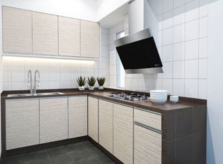 The Golden Triangle Condominium  Kitchen