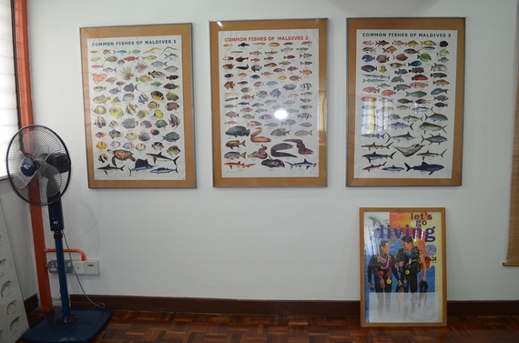 Wall Info