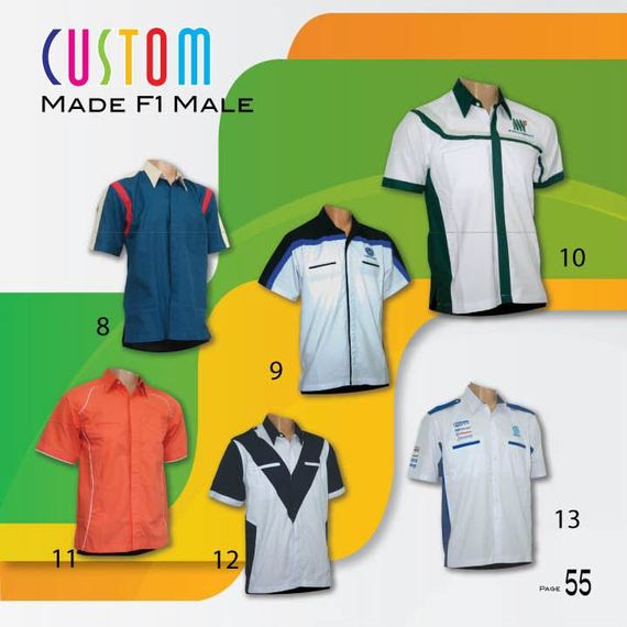 Custom Made F1 Male2