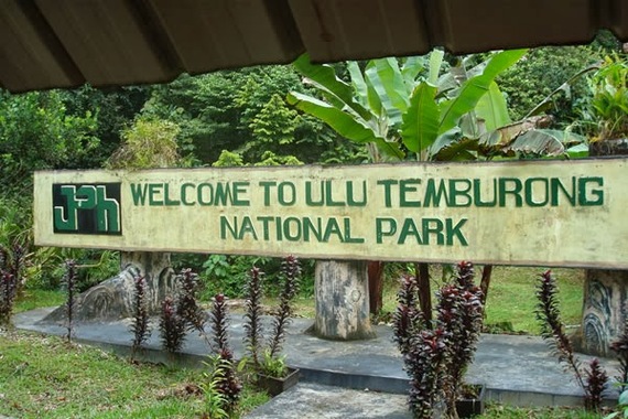 ULU TEMBURONG NATIONAL PARK