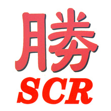 Success Car Refurnishing Sdn. Bhd. - Car - Repairing Service - Selangor