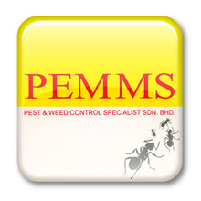 Pemms Pest Weed Control Specialist Sdn Bhd Pest Control In Malaysia