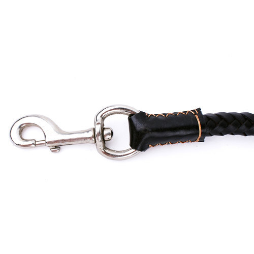 Braided Leather Leash For Large Sized Dog