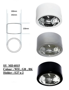 6" Round Surface Downlight