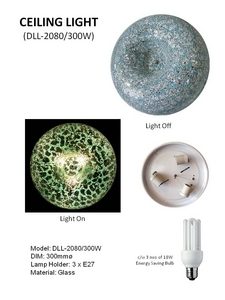 Ceiling Lamp