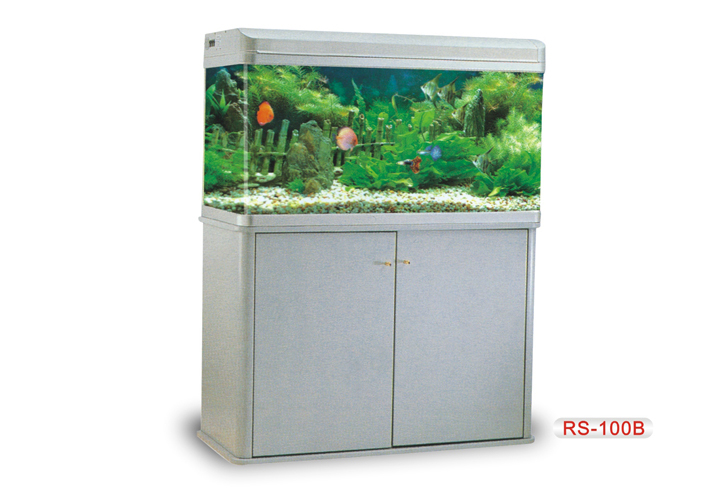 RS Aquarium - Glass Aquarium (Medium)