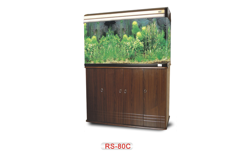 RS Aquarium - Glass Aquarium (Medium)