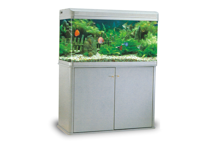 RS Aquarium - Glass Aquarium (Medium)