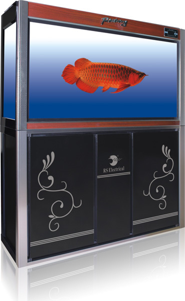 RS Aquarium - Glass Aquarium (Large)