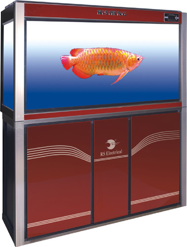 RS Aquarium - Glass Aquarium (Large)