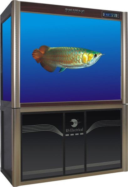 RS Aquarium - Glass Aquarium (Large)