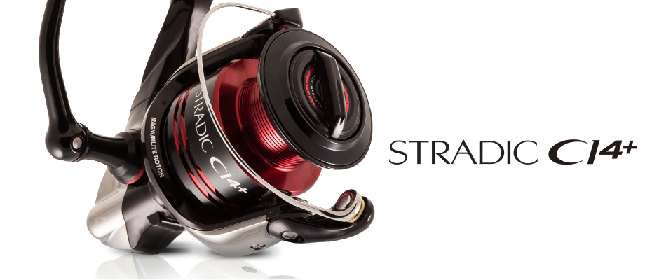 Spinning -  STRADIC CI4+
