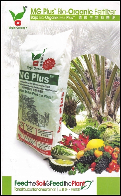 MG Plus